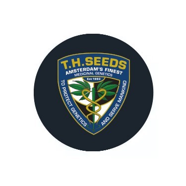T.H. Seeds auto
